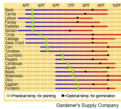 Seed Planting Temperature