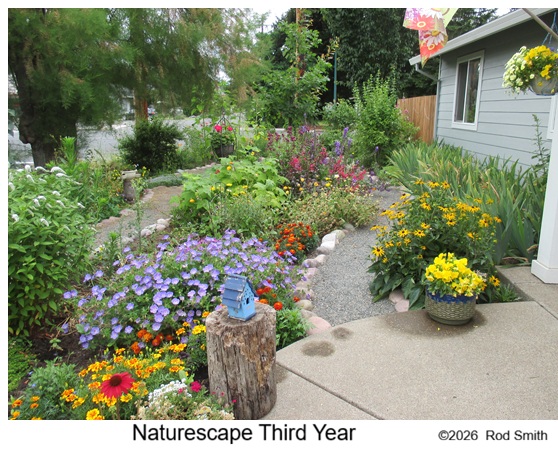 Naturescape 3rd year